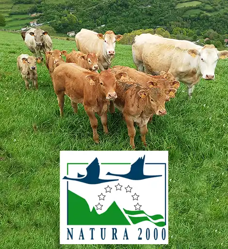 rednatura